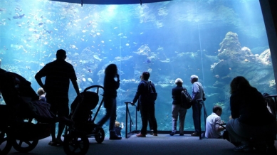 California Academy of Sciences - foto: archdaily.com