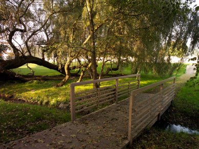 Zámecký park ve Ctěnicích - foto: Ota Nepilý