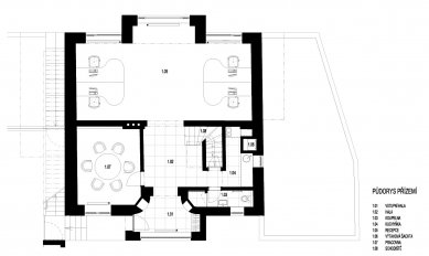 Rekonstrukce vily se dvěma bytovými jednotkami a kanceláří - 1NP - foto: maura