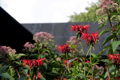 Serpentine Gallery Pavilion 2011 - foto: Martin Krcha, 2011