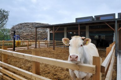 Farma Čapí hnízdo - foto: Ctibor Košťál