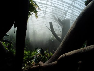 Pavilon Indonéské džungle - foto: AND architektonický atelier
