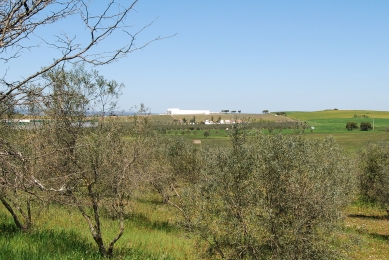 Adega Mayor Winery - foto: Petr Šmídek, 2013