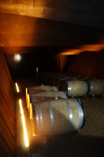 Bell-Lloc Winery - foto: Andrea Pujmanová, 2013