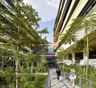 Singapurská vysoká škola technologie a designu - foto: © Hufton+Crow