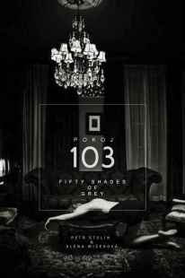 Hotel Pytloun - pokoj číslo 103