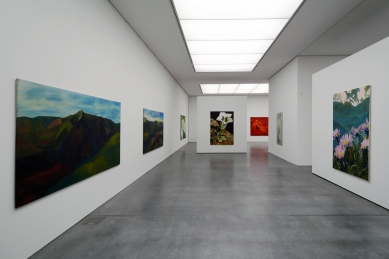 Graubünden Museum of Fine Arts - foto: Petr Šmídek, 2017