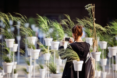 Victoria Pragensis - botanický labyrint - foto: Jakub Nedbal