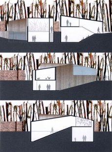 Hedge House - Řezy - foto: © Wiel Arets Architect & Associates