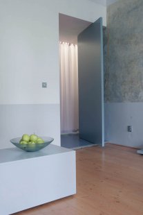 Rekonstrukce a interiér bytu - foto: Radek Plíhal