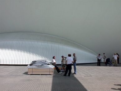 Cuidad de las Artes y las Ciencias - foto: Petr Šmídek, 2006