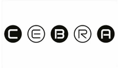 CEBRA architecture