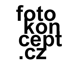 Martin Kocich